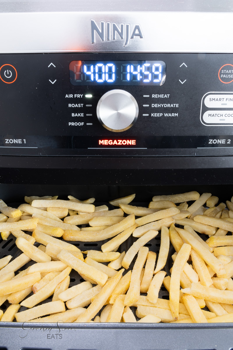 Crispy Frozen Air Fryer Garlic Parmesan French Fries Garrison Street Eats